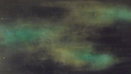 20150420 005.JPG