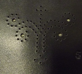 20150914 008.JPG