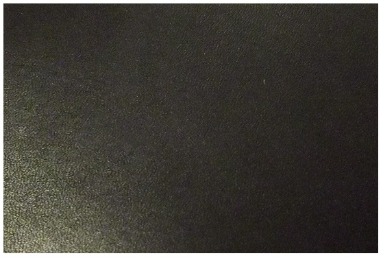 20150917 001.JPG