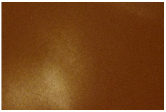 20150917 005.JPG