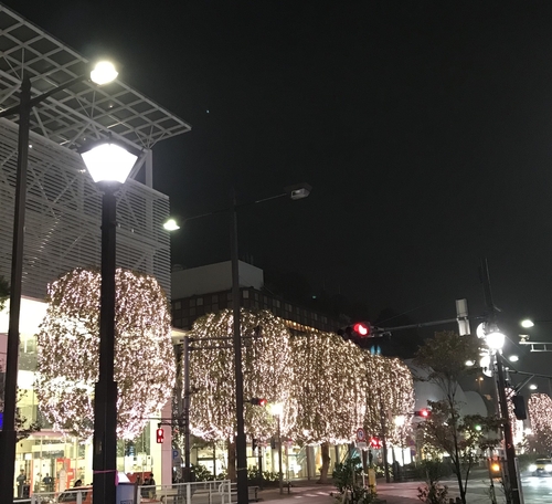 1281633D-9E51-4A7E-8FE7-B5802612F90E.jpeg