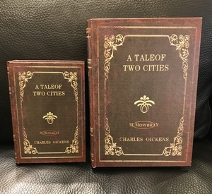 【二子玉川店】限定ボックス入荷