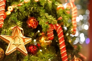 【日本橋髙島屋S.C.店】クリスマスキャンペーン