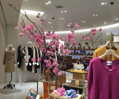 7585FF04-D0D9-41AE-9AAE-75BE3F082ABE.jpeg