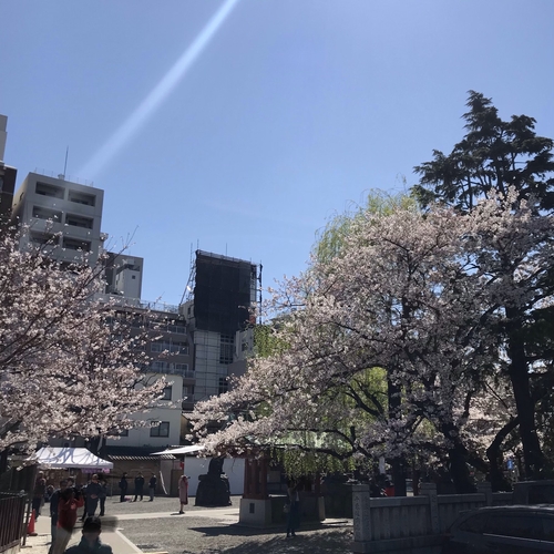 B70A95C0-DDB7-4805-B8E8-10CC0029B867.jpeg