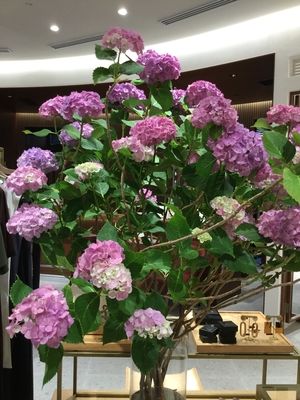 【東京ミッドタウン日比谷店】営業時間の変更