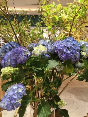 【東京ミッドタウン日比谷店】そろそろ梅雨ですよ