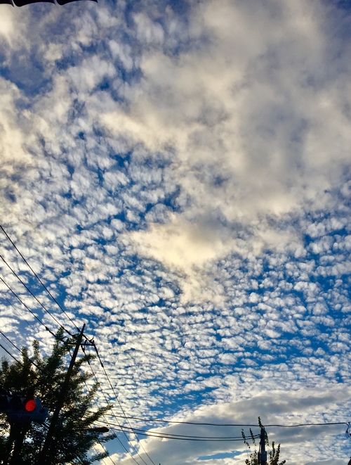 F3EA84B6-286D-476F-936B-7E3F934DE20B.jpeg