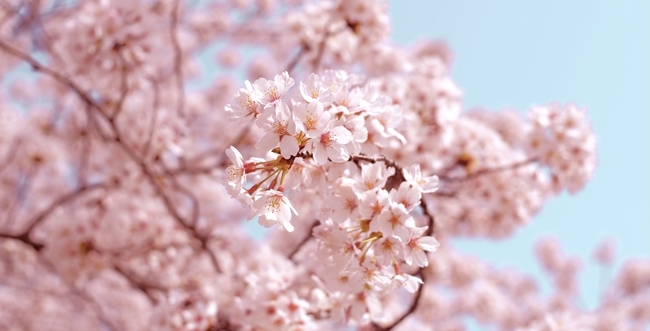60687E30-F8D2-4C6E-AE2B-E488E10696B9.jpeg