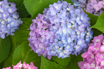 70B05A85-CD5D-4BA5-8A19-2D3AAE56CD13.jpeg