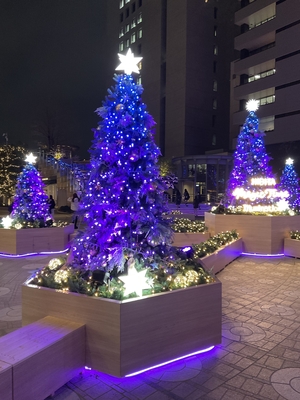 【東京ミッドタウン日比谷店】謹製鑑賞