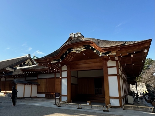 46A3C463-3C39-43DC-94D4-668FFFFA31E8.jpeg