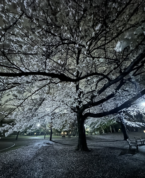 7F245293-9F81-4907-B76E-C0A2B0AEC651.jpeg