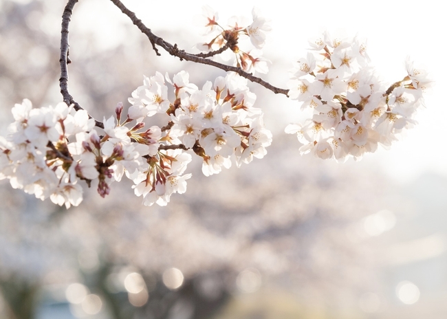 90A65BAF-B9D8-45F1-ABDF-5191F059D540.jpeg