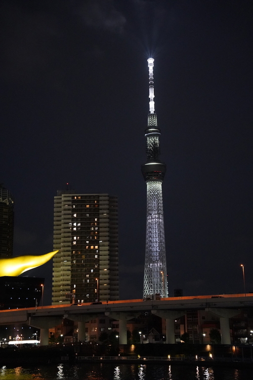 DSC04641.jpeg