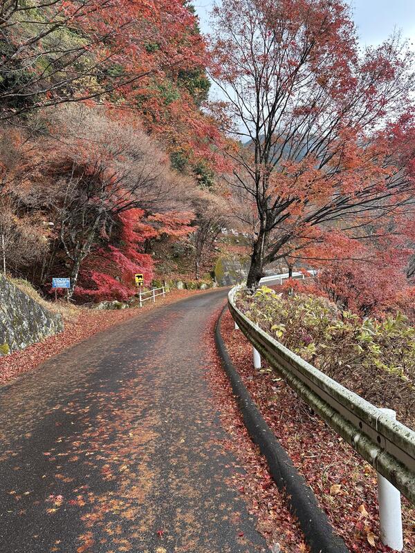 IMG_7920.jpeg