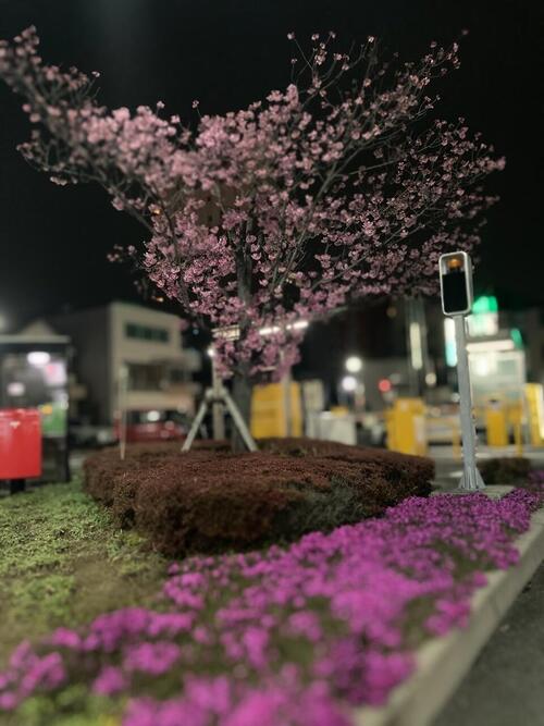 IMG_8020.jpeg