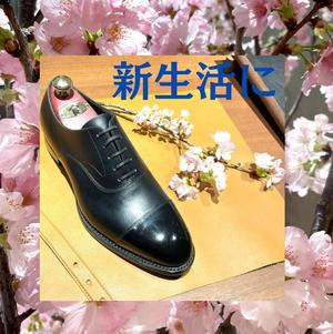 【東京ミッドタウン八重洲店】フレッシャーズ・新生活に黒スト！