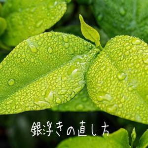 【名古屋ミッドランドスクエア店】銀浮きの直し方