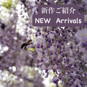【名古屋ミッドランドスクエア店】新作紹介