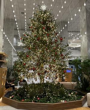 【二子玉川店】 新作ウィメンズ靴有り〼